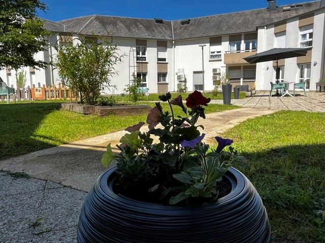 un jardin embelli