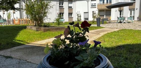 un jardin embelli